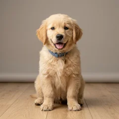 Fluffy Puppy